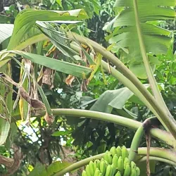 Mirador de Trujillo Alto - Trujillo Alto