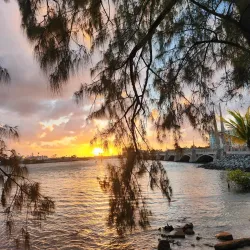 Parque Ecológico La Laguna - Trujillo Alto