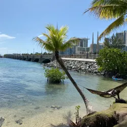 Parque Ecológico La Laguna - Trujillo Alto