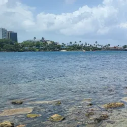 Parque Ecológico La Laguna - Trujillo Alto