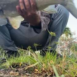 Reserva Natural Caño Martín Peña - Trujillo Alto