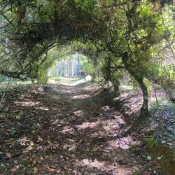 Caguana Indigenous Ceremonial Park - Utuado