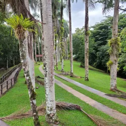 Caguana Indigenous Ceremonial Park - Utuado