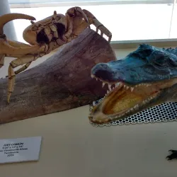 Casa Museo de la Cultura - Vega Alta