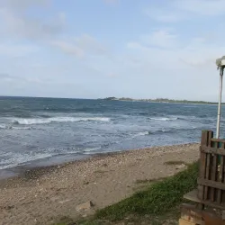 Finca La Vega - Vega Alta