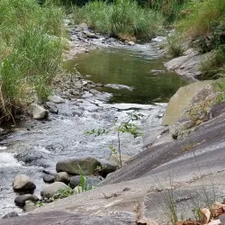 Finca La Vega - Vega Alta