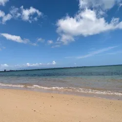 Parque de la Ceiba - Vega Alta