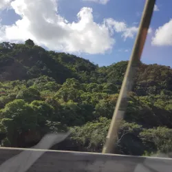 Parque Lineal de Vega Alta - Vega Alta