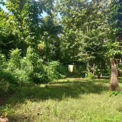 Parque Lineal de Vega Alta - Vega Alta