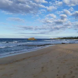 Parque Lineal de Vega Alta - Vega Alta