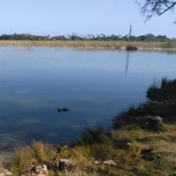 Reserva Natural Laguna Tortuguero - Vega Alta