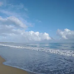 Reserva Natural Playa Grande - Vega Baja