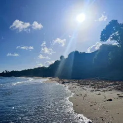 Black Sand Beach (Playa Negra) - Vieques