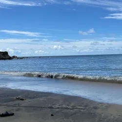 Black Sand Beach (Playa Negra) - Vieques