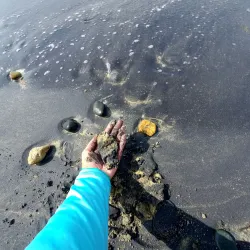 Black Sand Beach (Playa Negra) - Vieques