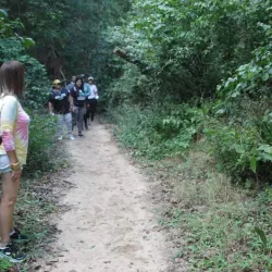 Black Sand Beach (Playa Negra) - Vieques