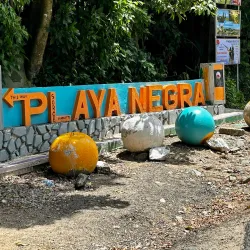 Black Sand Beach (Playa Negra) - Vieques