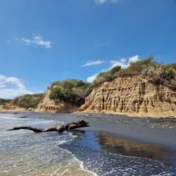 Black Sand Beach (Playa Negra) - Vieques