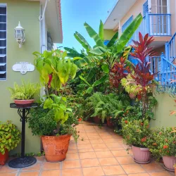 Isabel Segunda - Vieques