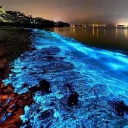 Mosquito Bay (Bioluminescent Bay) - Vieques