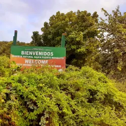 Mosquito Bay (Bioluminescent Bay) - Vieques