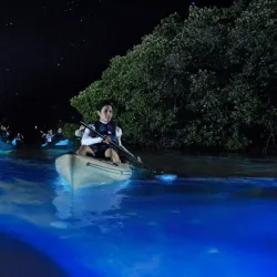 Mosquito Bay (Bioluminescent Bay) - Vieques