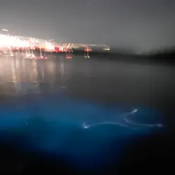 Mosquito Bay (Bioluminescent Bay) - Vieques