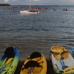 Mosquito Bay (Bioluminescent Bay) - Vieques