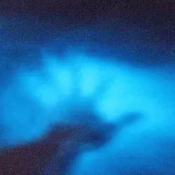 Mosquito Bay (Bioluminescent Bay) - Vieques