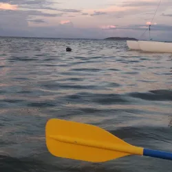 Mosquito Bay (Bioluminescent Bay) - Vieques