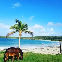 Playa Caracas (Red Beach) - Vieques