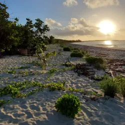 Playa La Chiva (Blue Beach) - Vieques
