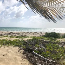 Playa La Chiva (Blue Beach) - Vieques