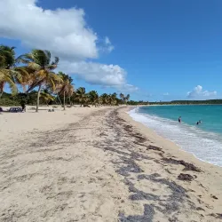 Sun Bay Beach - Vieques