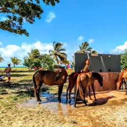 Sun Bay Beach - Vieques