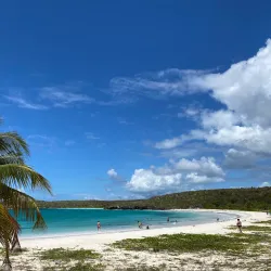 Vieques National Wildlife Refuge - Vieques