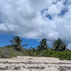 Vieques National Wildlife Refuge - Vieques
