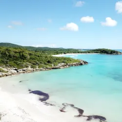 Vieques National Wildlife Refuge - Vieques
