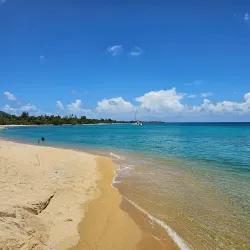Vieques National Wildlife Refuge - Vieques