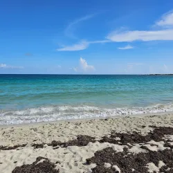 Vieques National Wildlife Refuge - Vieques