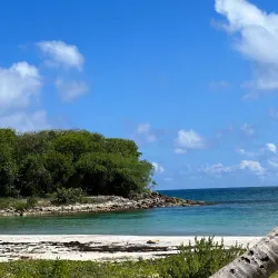 Vieques National Wildlife Refuge - Vieques