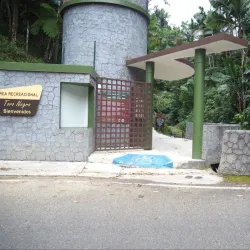 Bosque Estatal de Villalba - Villalba