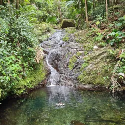 Bosque Estatal de Villalba - Villalba