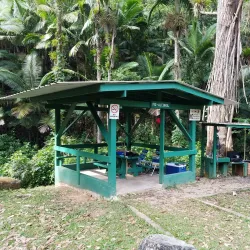 Bosque Estatal de Villalba - Villalba