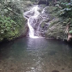 Bosque Estatal de Villalba - Villalba