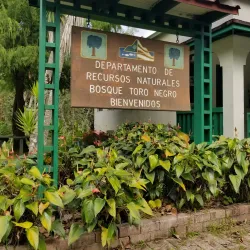 Bosque Estatal de Villalba - Villalba