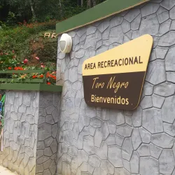 Bosque Estatal de Villalba - Villalba