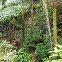 Bosque Estatal de Villalba - Villalba