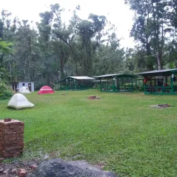 Bosque Estatal de Villalba - Villalba