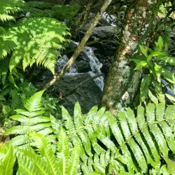 Charco Azul - Villalba